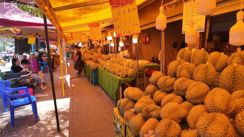 中老鐵路 客貨運雙雙突破5000萬，合作共贏之路改變我們的生活與貨機車配件行業